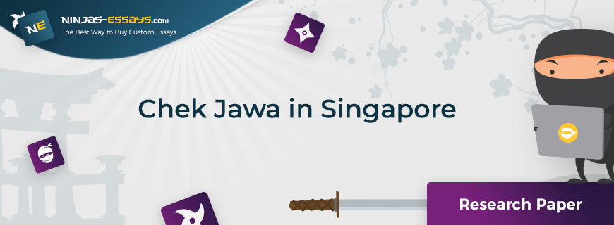Chek Jawa in Singapore